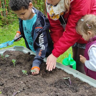 Die Kinder pflanzen Setzlinge ein, aus denen verschiedene Gemüsesorten wachsen.