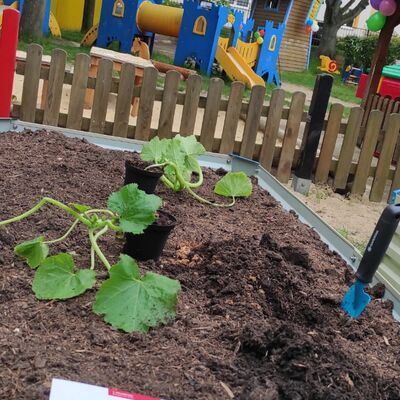 Neben dem Spielplatz wachsen nun Pflanzen in Hochbeeten.