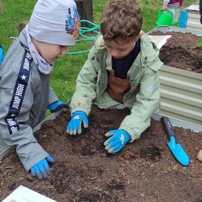 Die Kita-Kinder haben beim Gärtnern viel über Gemüse gelernt.