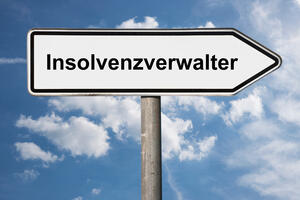 Ein Insolvenzberater kontrolliert, regelm&auml;&szlig;ig, wie der/die Klient*in finanziell aufgestellt ist und ob er/sie sich an Absprachen h&auml;lt.