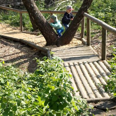 Die Kinder erkunden die Umgebung.
