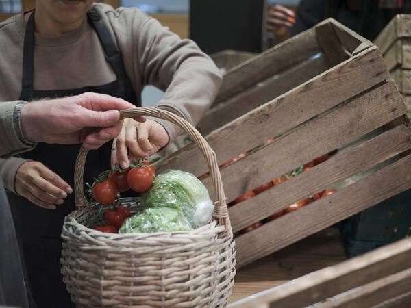 Volunteers sorting vegetables in community food center