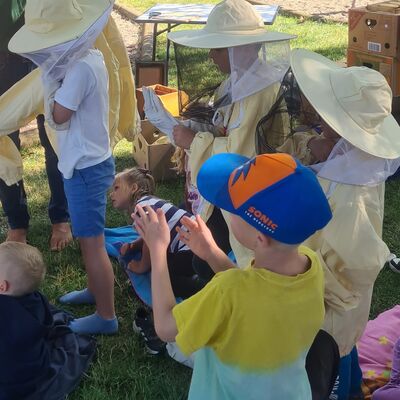 Bienenschwarm im AWO Kinderhaus an der Ilse - September 2023 - Imker bei der Arbeit