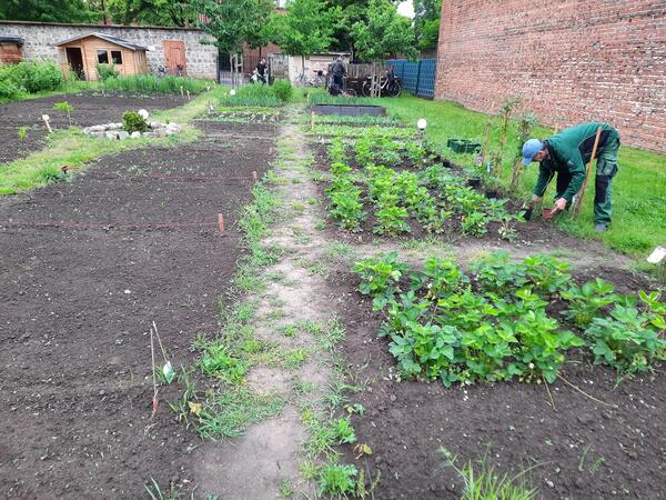 Es war viel Arbeit nötig, damit der Garten gut für die Saison vorbereitet wurde.