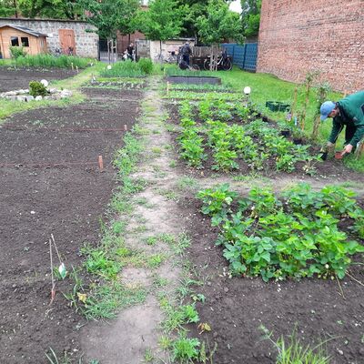 Es war viel Arbeit nötig, damit der Garten gut für die Saison vorbereitet wurde.