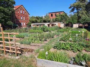 Im Sommer gab es viel zu ernten.