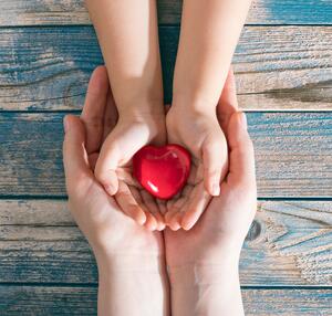 mother and daughter hands are holding red heart. Heart health co