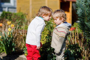 Two little brothers boys fighting and having dispute. Preschool, upset children arguing outdoors. Rivalry and competition betweens siblings. Unhappy twins. One boy crying