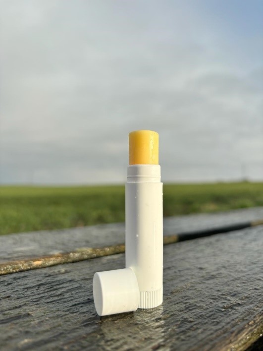 Fertiges Endprodukt Lippenpflegestift
