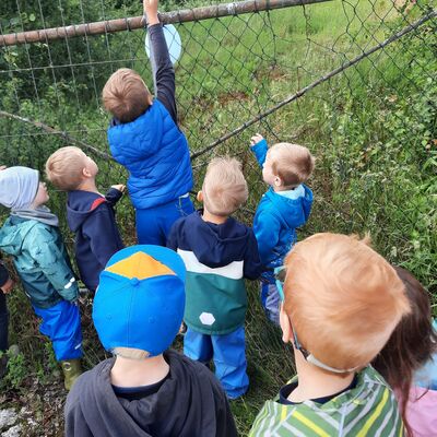 Kinder arbeiten zusammen