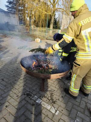 Keine Gnade für den Tannenbaum