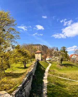 Fr&uuml;hlingsspaziergang st&auml;rkt Teilhabe und Gemeinschaft