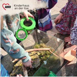Kleine Schnecken, gro&szlig;e Entdeckungen 3