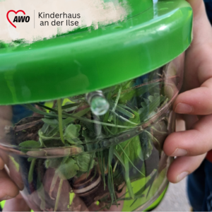 Kleine Schnecken, gro&szlig;e Entdeckungen 4