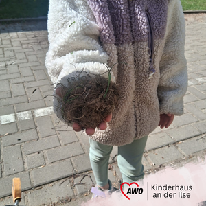 Kleine Entdeckungen & gro&szlig;e Bildungsprozesse 02