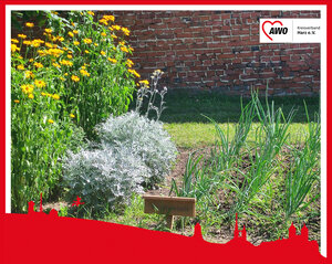 AWO-Tafelgarten_02