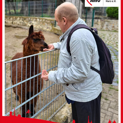 Tierpark Westerhausen_01