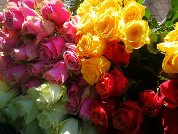 IMG_20210308_120538