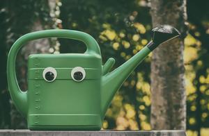 watering-can-5346272_1920