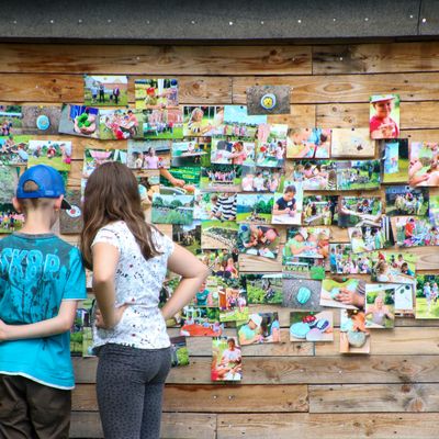 Die Kinder begutachten bei der Abschlusspräsentation Fotos, die während der Woche entstanden sind.