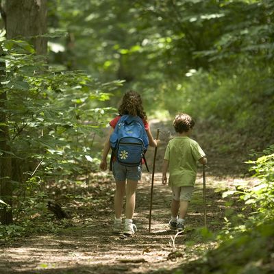 Kinder Wandern im Herbst