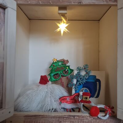 AWO Kinderhaus an der Ilse, Kita-Kinder beteiligen sich am lebendigen Adventskalender, geschmckter Adventsschrank Tag 7
